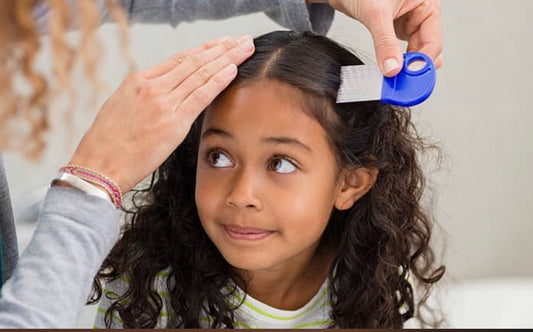 Lice Prevention Tips